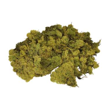 Lichene Verde gr.400 | Rossi Rosa
