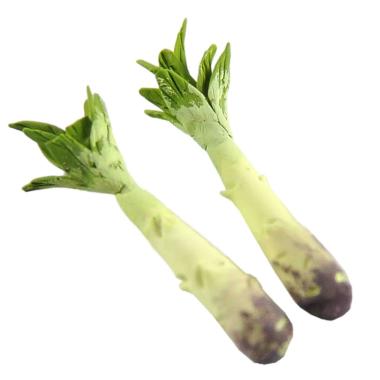 Alimenti Cime di Rapa cm.Ø1x4,5 Set pz.2 | Rossi Rosa