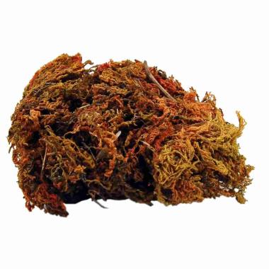 Muschio Naturale Rosso gr.25 | M2 Store