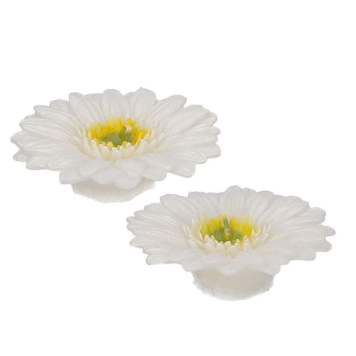 Candela Gerbera Bianca cm.Ø8 pz.2 | Vacchetti