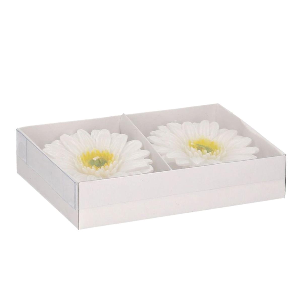 Candela Gerbera Bianca cm.Ø8 pz.2 | Vacchetti