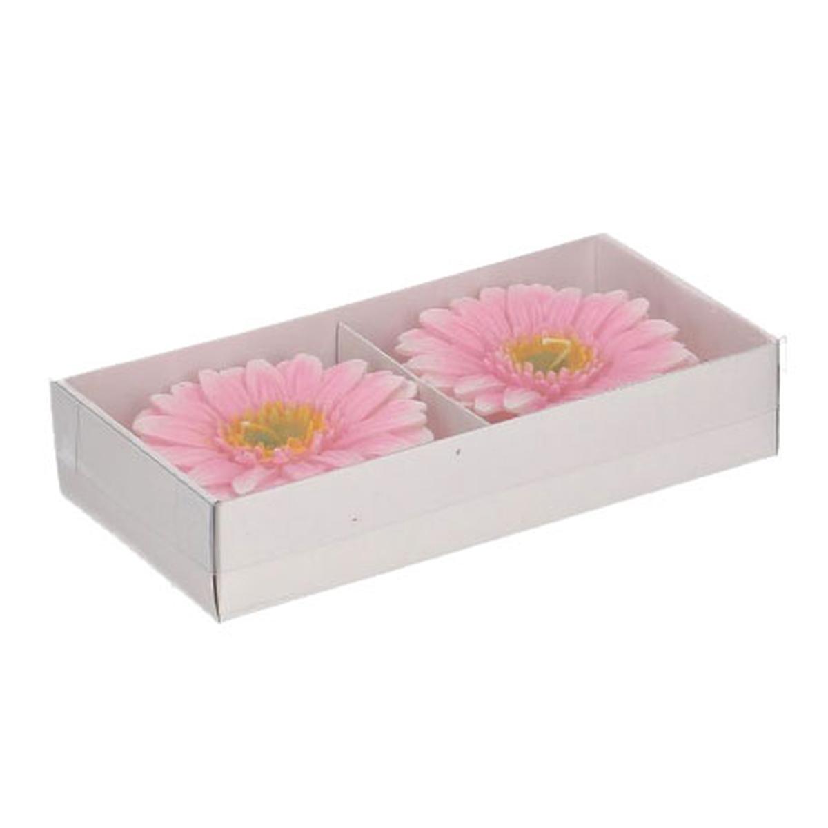 Candela Gerbera Rosa cm.Ø8 pz.2 | Vacchetti