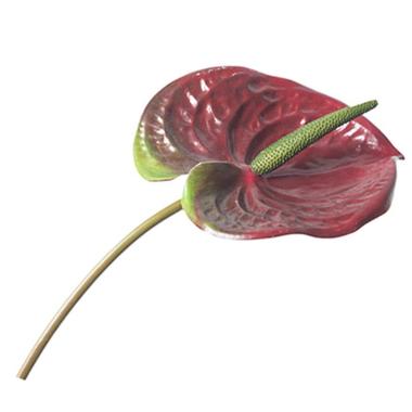 Fiore Anturium Rosso PVC cm.15x70 | Montemaggi