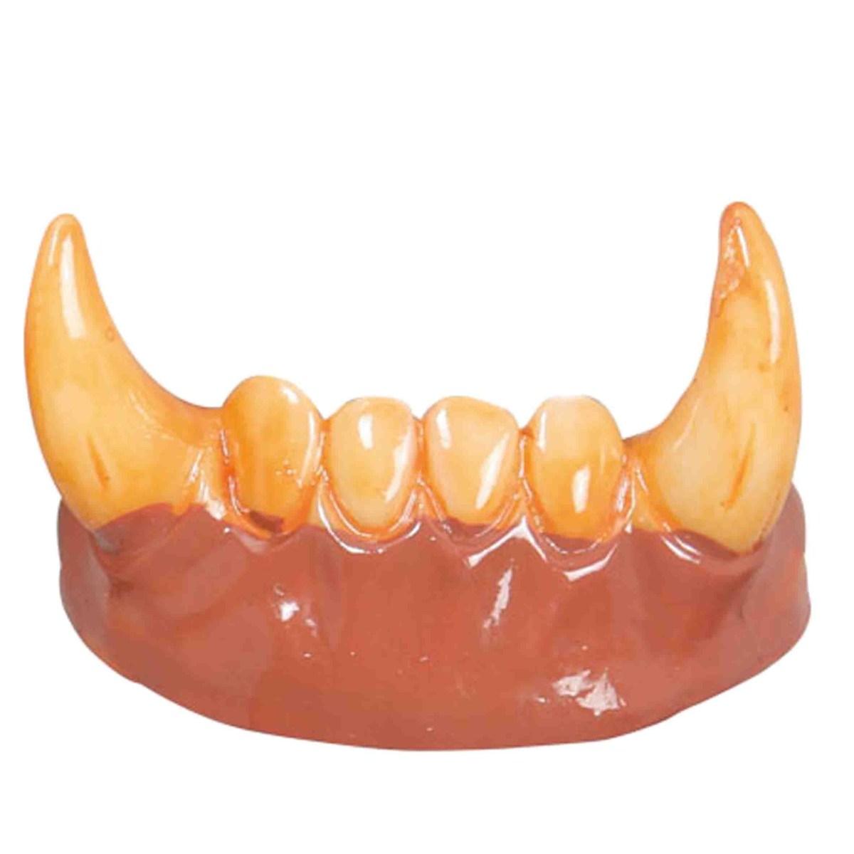Denti Lupo Mannaro Con Zanne |Guirca
