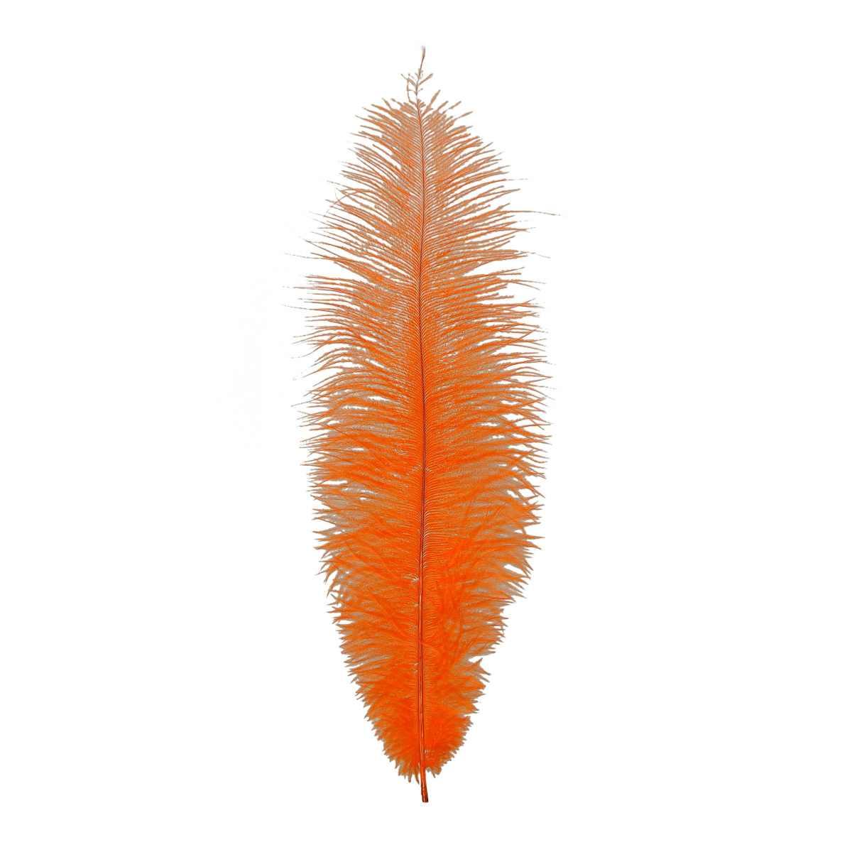 Piuma Struzzo cm.35/40 Arancione |Guirca