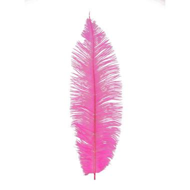 Piuma Struzzo cm.35/40 Fuxia |Guirca