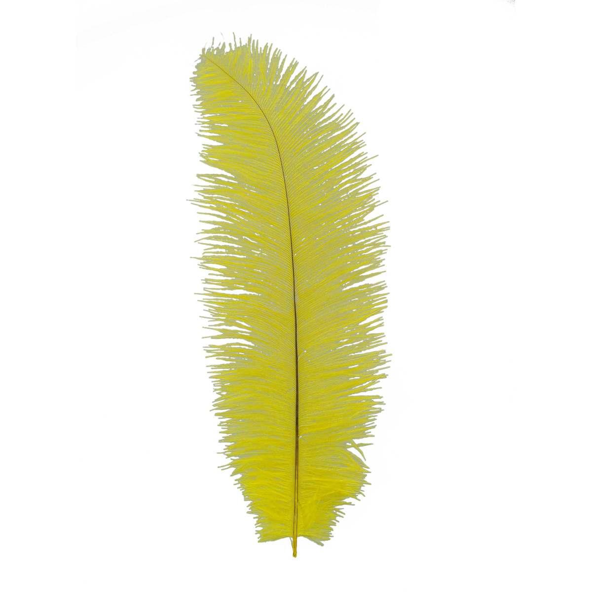 Piuma Struzzo cm.35/40 Giallo |Guirca