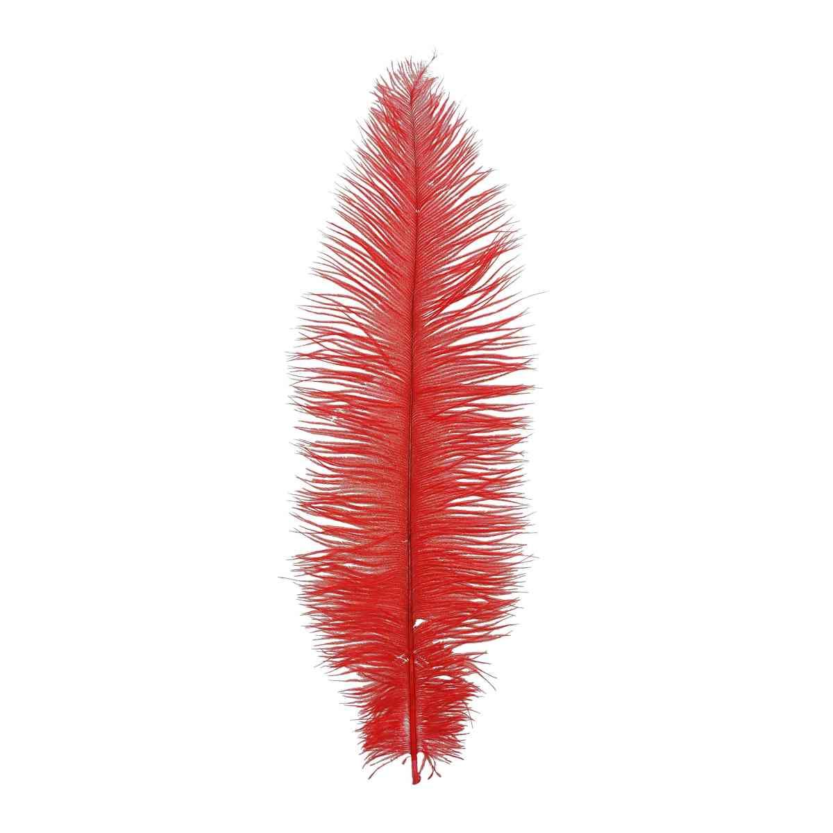 Piuma Struzzo cm.35/40 Rossa |Guirca
