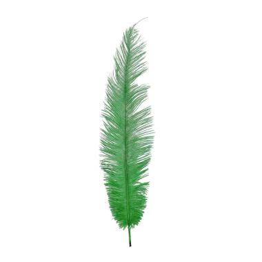 Piuma Struzzo cm.35 Verde Set pz.40 |Guirca