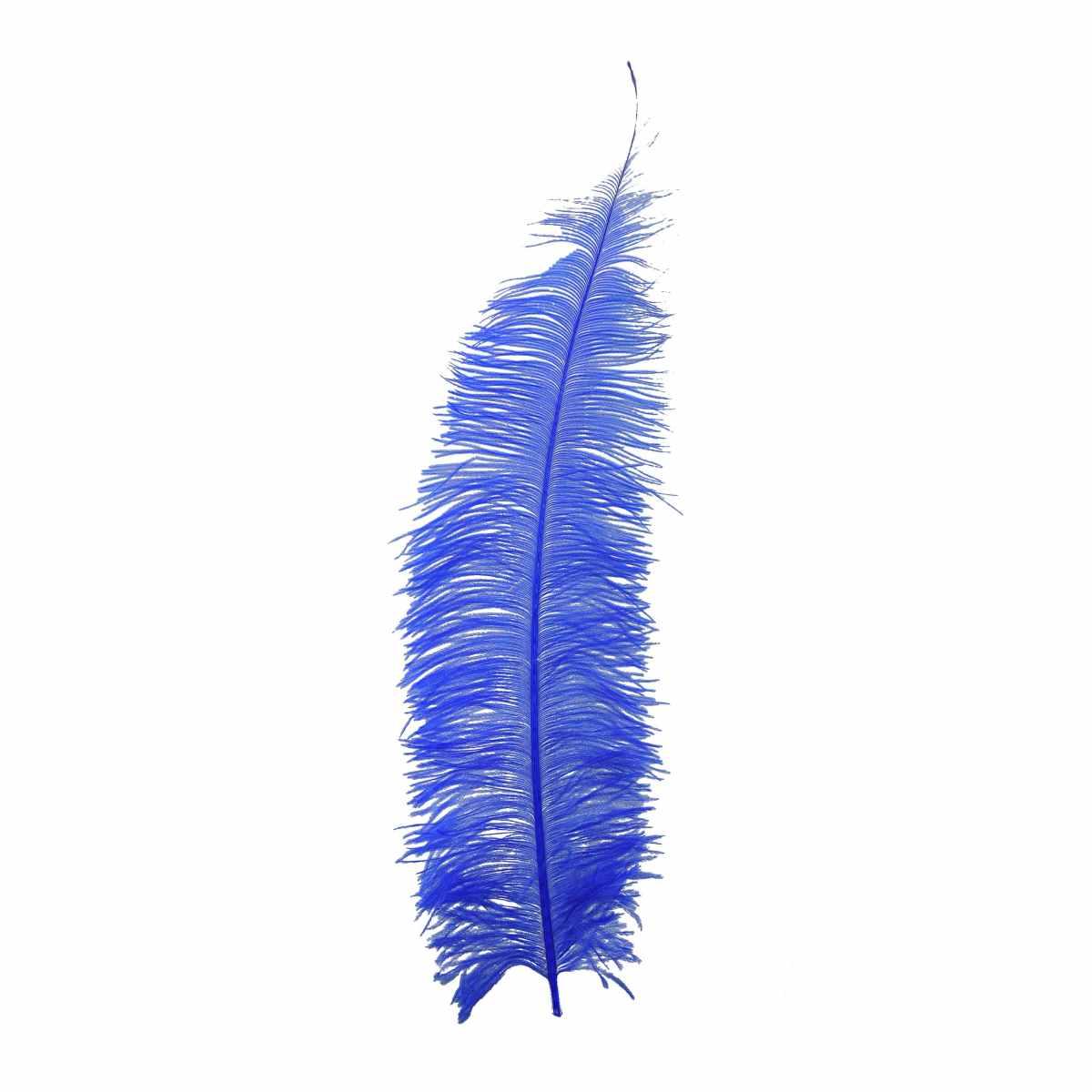 Piuma Struzzo cm.60/70 Blu |Guirca