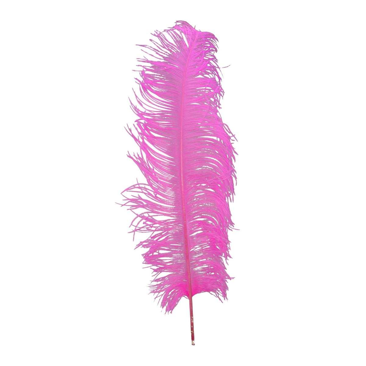 Piuma Struzzo cm.60/70 Fuxia |Guirca
