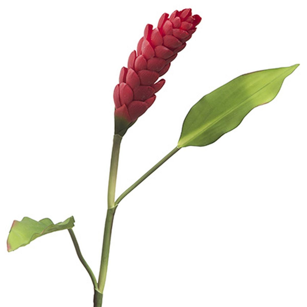Fiore Ginger Rosso con foglie cm.95 | Montemaggi
