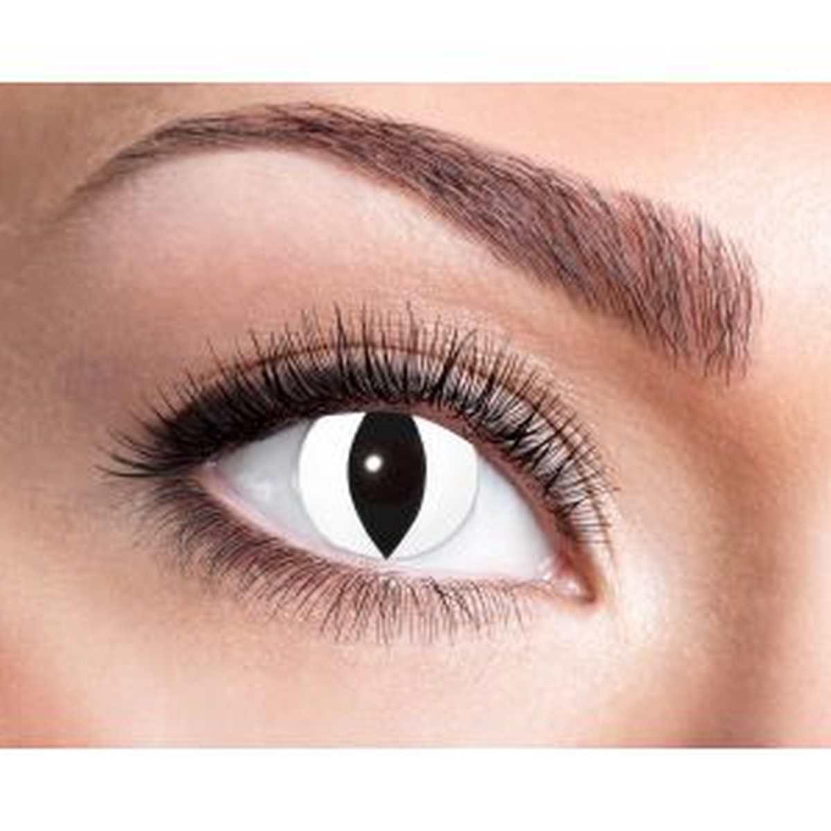 Lenti A Contatto Trimestrali Gatto Bianco Nero Set pz.2 |Zoelibat