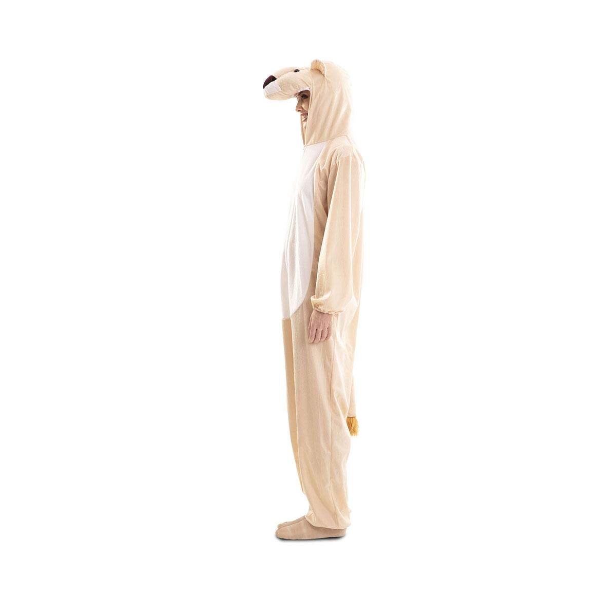 Costume Leonessa |Fyasa