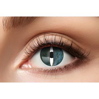 Lenti A Contatto Trimestrali Grey Reptile Set pz.2 |Zoelibat