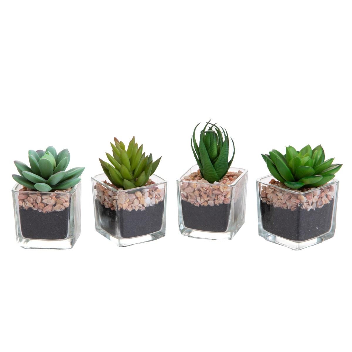 Fiore Vasetto Pianta Grassa cm.5x5xh10 Assortito 4 Modelli | Vacchetti