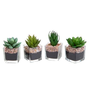 Fiore Vasetto Pianta Grassa cm.5x5xh10 Assortito 4 Modelli | Vacchetti