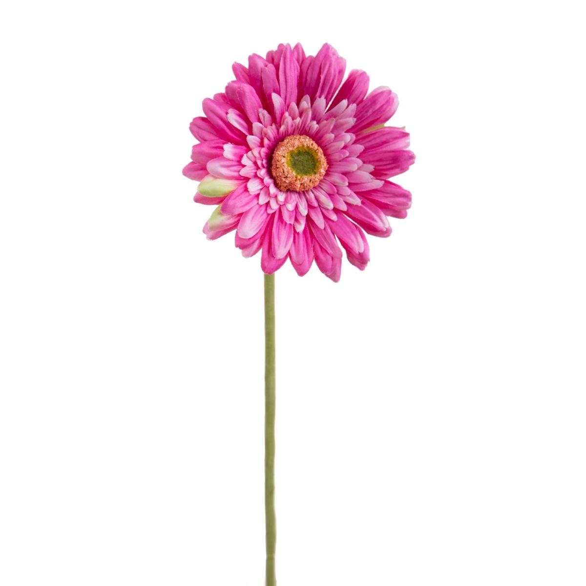 Fiore Gerbera Rosa cm.62 | Bianchi Dino