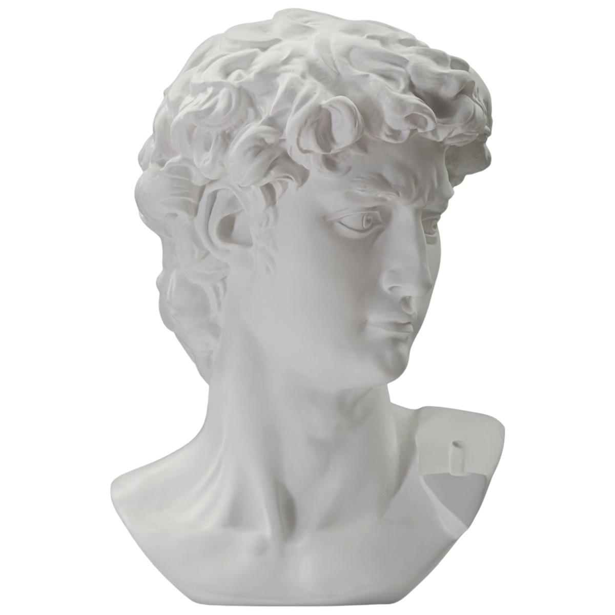 Scultura Testa Antica Bianca cm.44x35,5x60