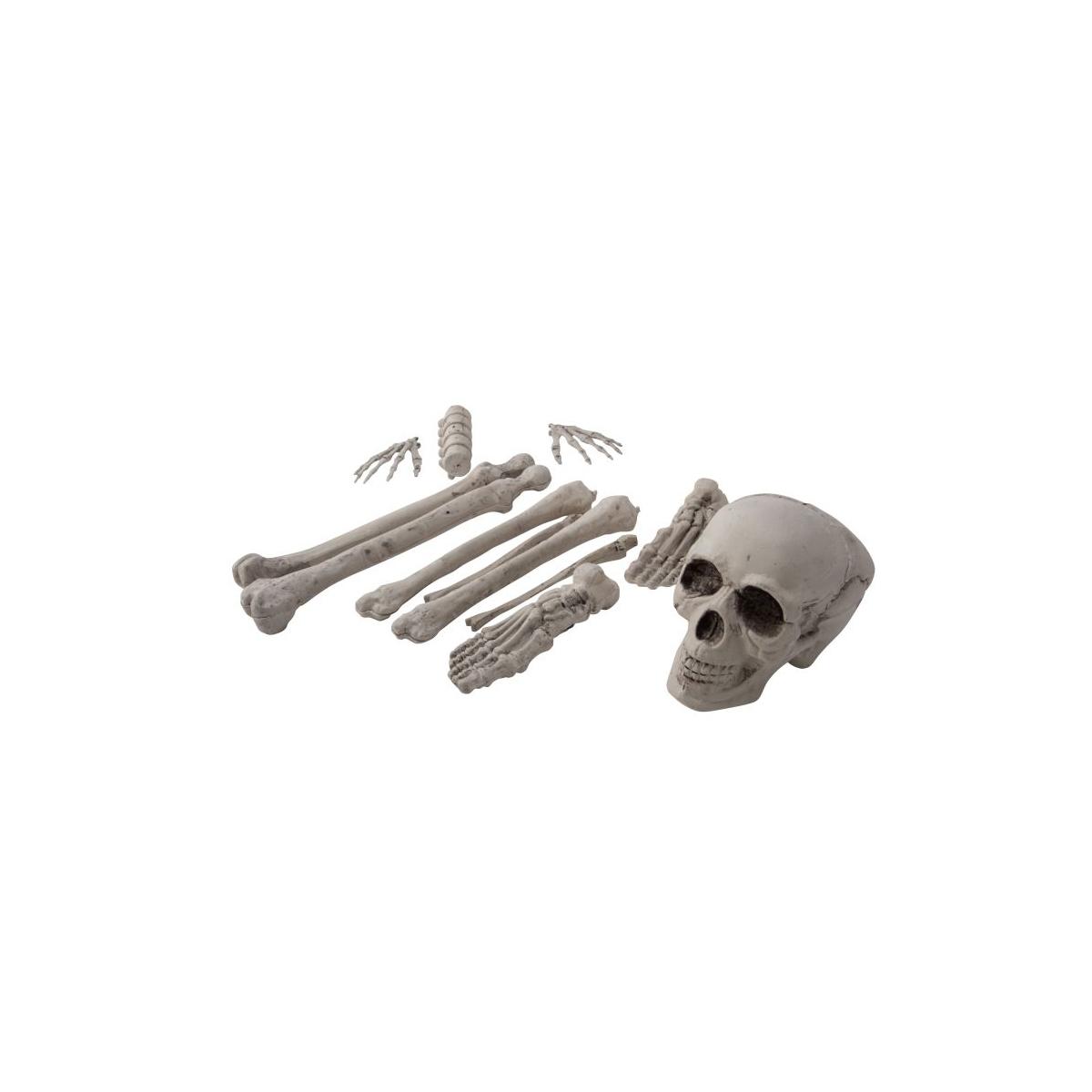 Ossa Scheletro Decorative Set pz.12 |Carnival Toys