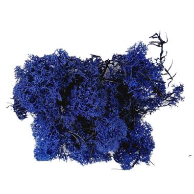 Lichene Sintetico Blu Scuro gr.30 | M2 Store