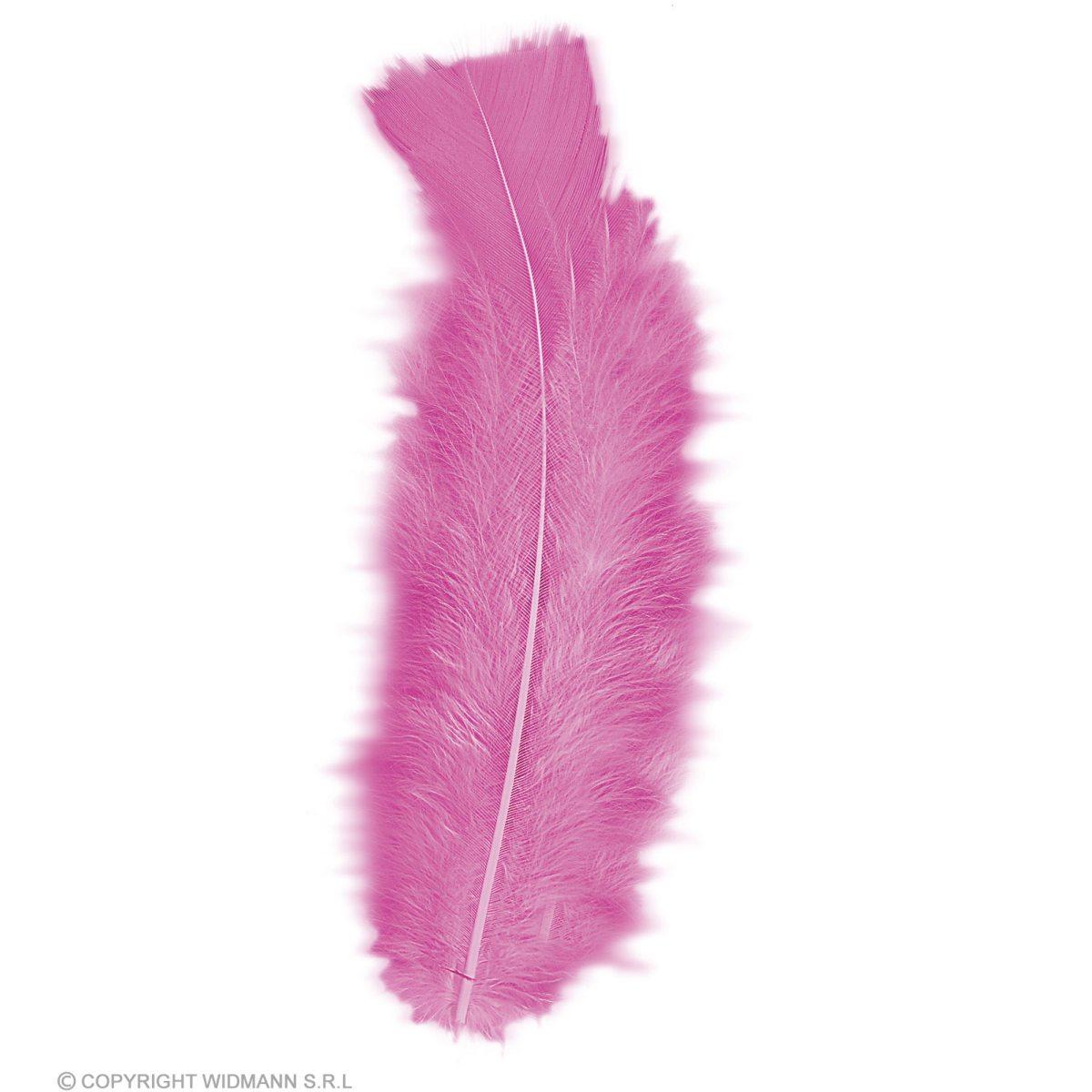 Piuma struzzo rosa fucsia 10 cm set pz.10