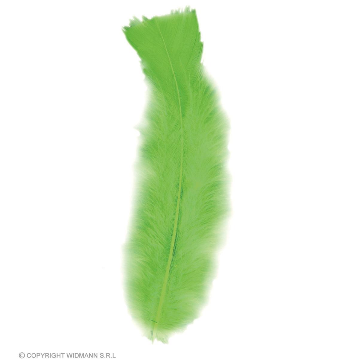 Piuma Struzzo cm.10 Verde Set pz.50 |Widmann