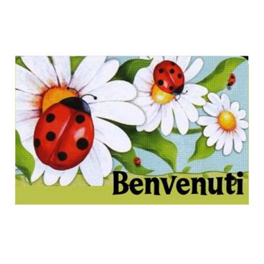 Zerbino cm.40x70 Cocco Coccinelle Multicolor | Montemaggi