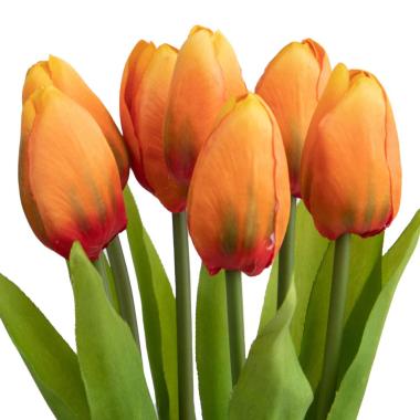 Fiore Tulipano Arancione Mazzetto cm.37 | Bianchi Dino
