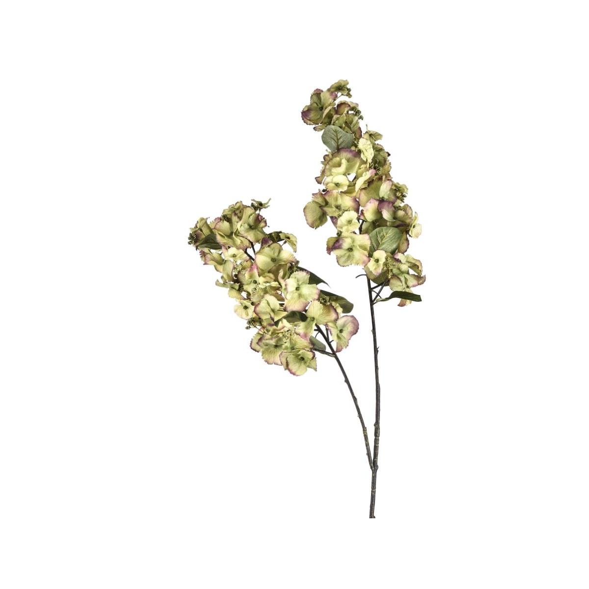 Fiore Ortensia Verdex2 cm.117 | Bianchi Dino