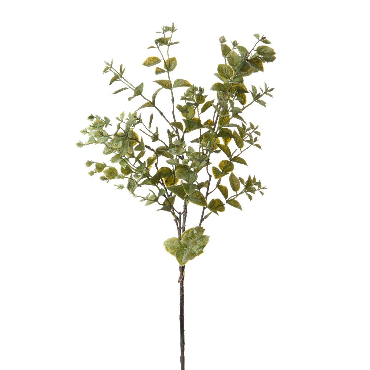 Fiore Rametto Foglie Ruscus Orientale Verde cm.68 | Bianchi Dino
