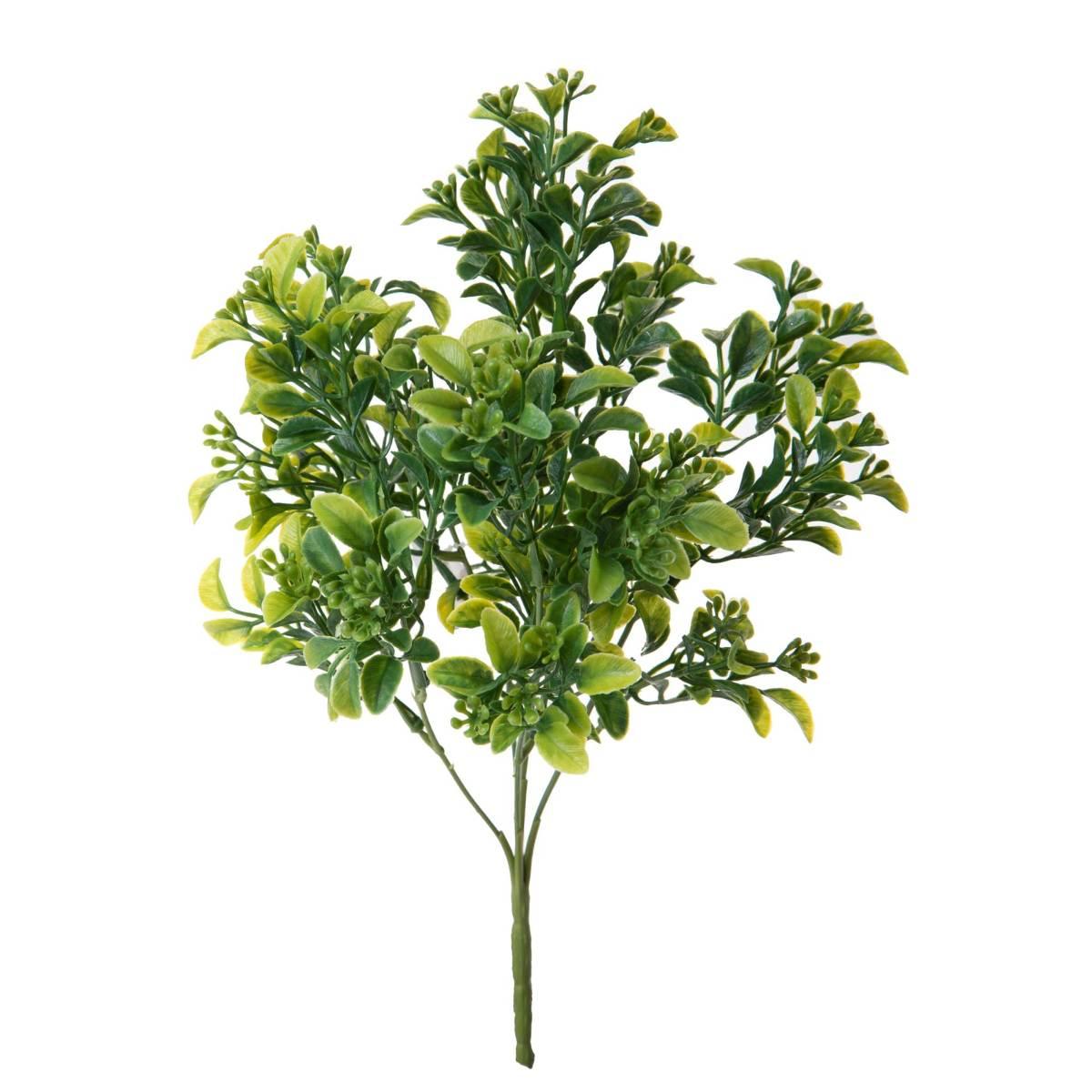 Fiore Cespuglio Bosso Verde cm.33 | Bianchi Dino