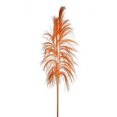 Fiore Rametto Cana Brava Naturale Arancione cm.200 | Bianchi Dino