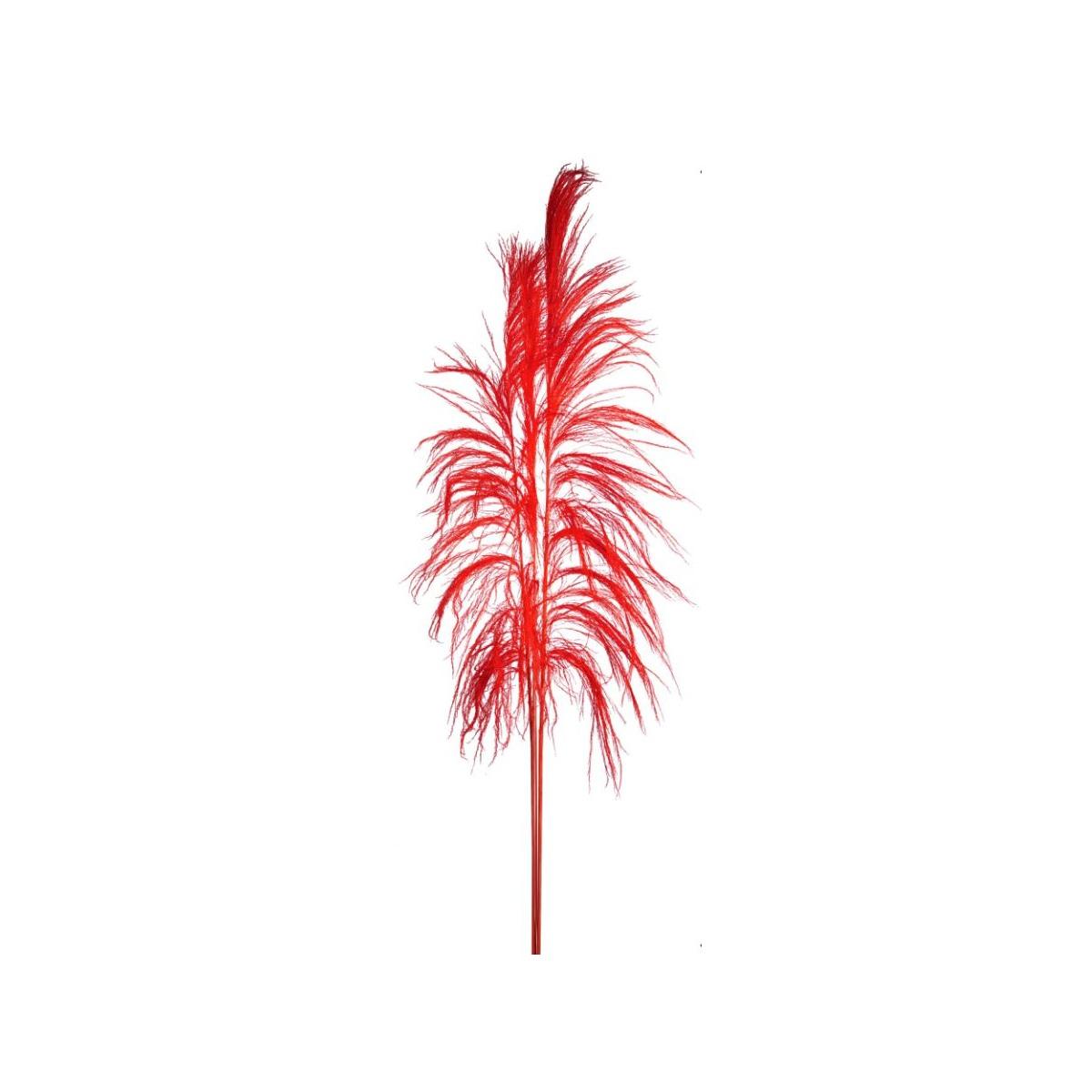 Fiore Rametto Cana Brava Naturale Rossa cm.200 | Bianchi Dino