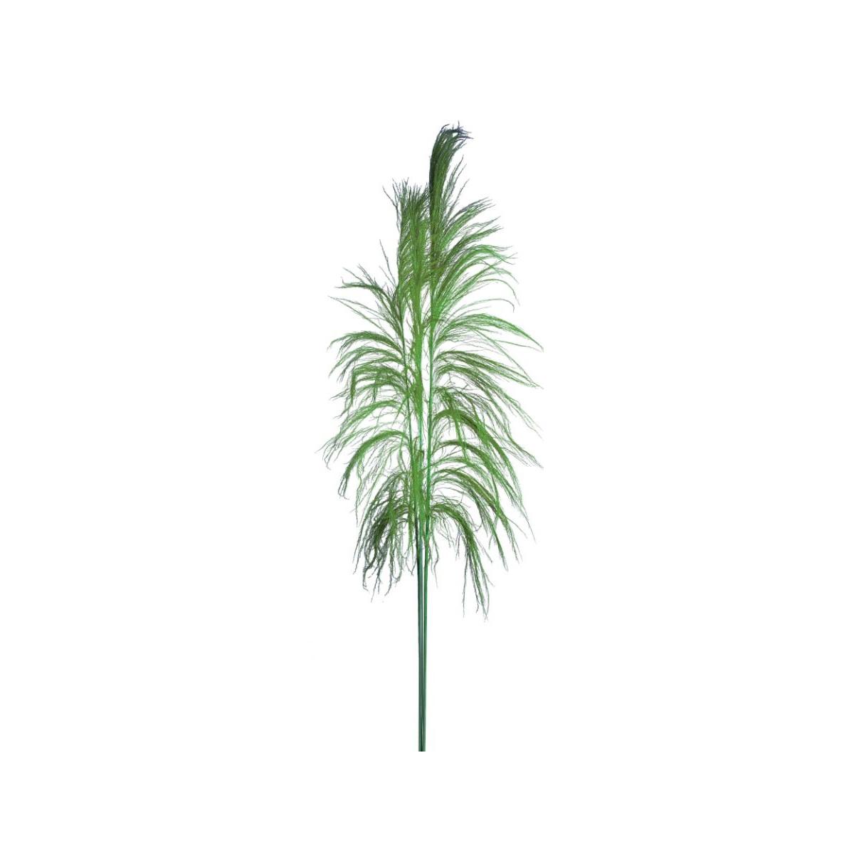 Fiore Rametto Cana Brava Naturale Verde cm.200 | Bianchi Dino