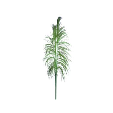 Fiore Rametto Cana Brava Naturale Verde cm.200 | Bianchi Dino