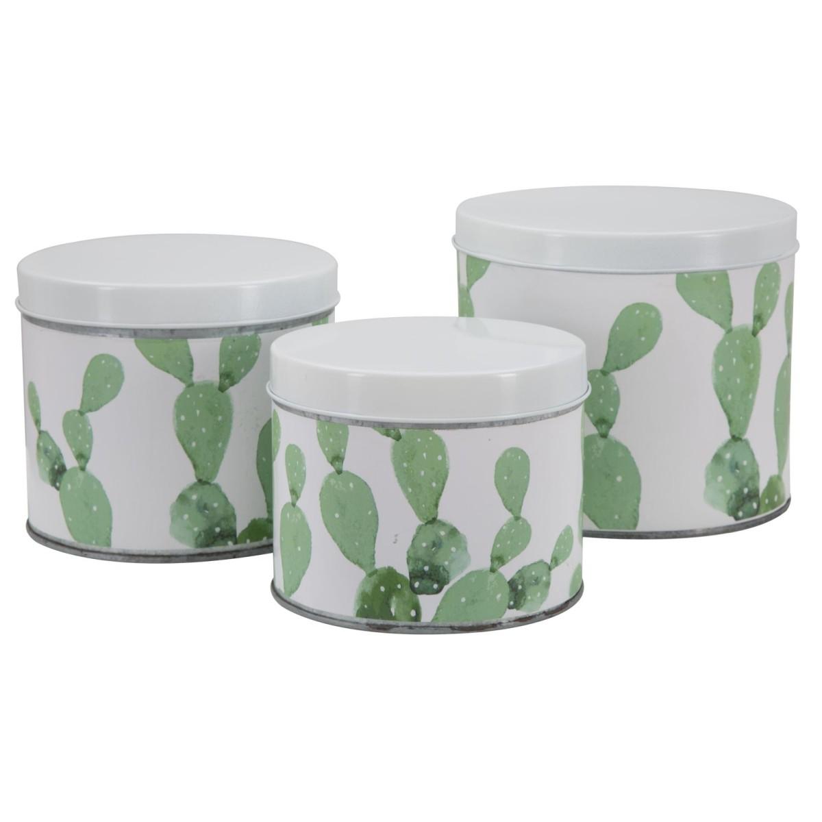Cofanetti In Latta Cactus Set 3 Pz cm. cm.Ø15x13,5-14x11,5-14x11,5