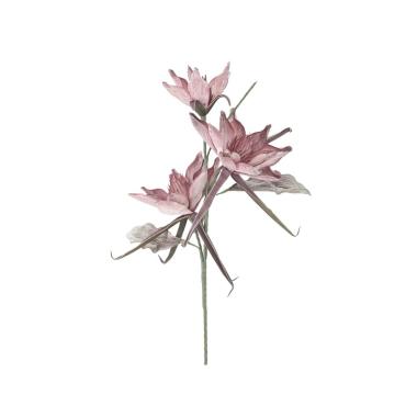 Fiore Epiphy Hum x3 Rosa cm.Ø35x98