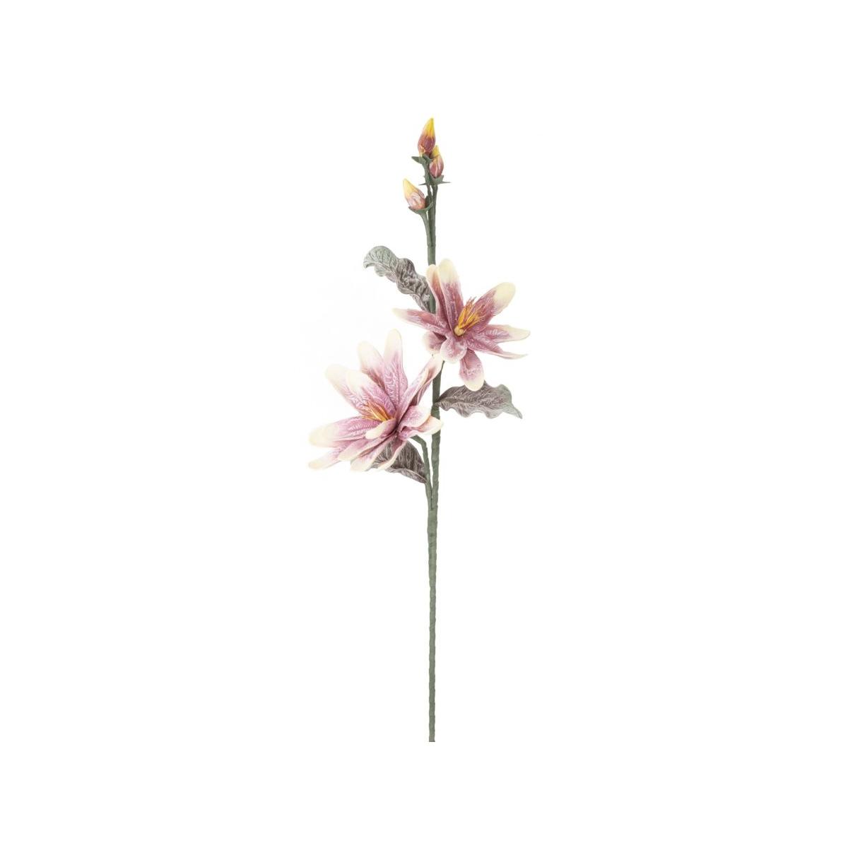 Fiore Magnolia x2 Purple cm.Ø25x98