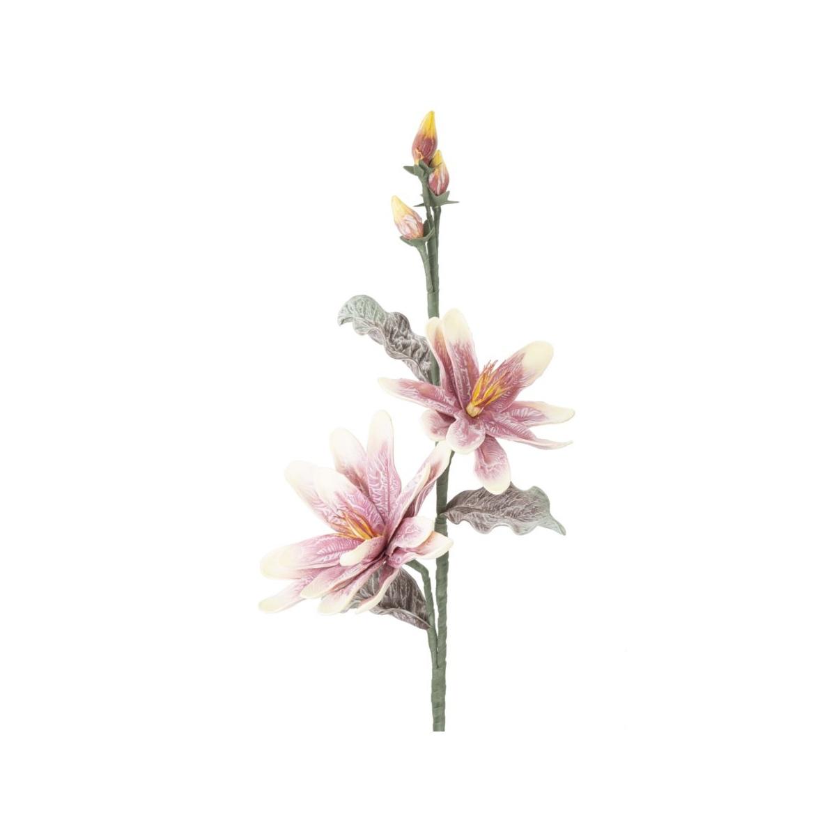 Fiore Magnolia x2 Purple cm.Ø25x98