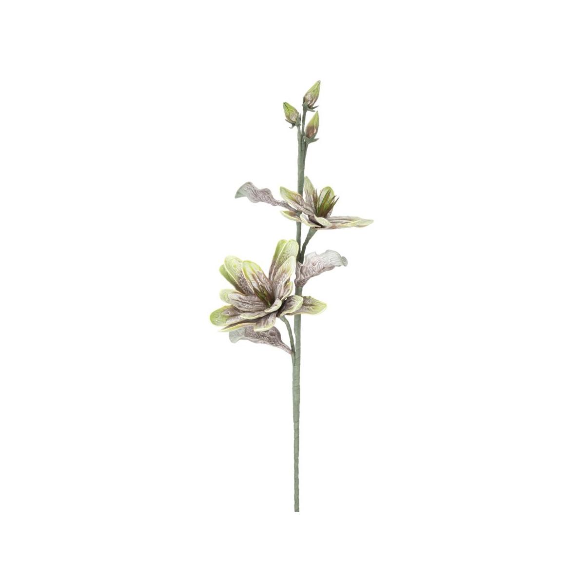 Fiore Magnolia x2 Verde cm.Ø25x98