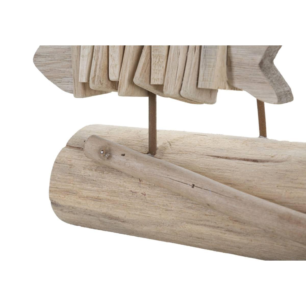 Pesci Nature cm.37x10x24