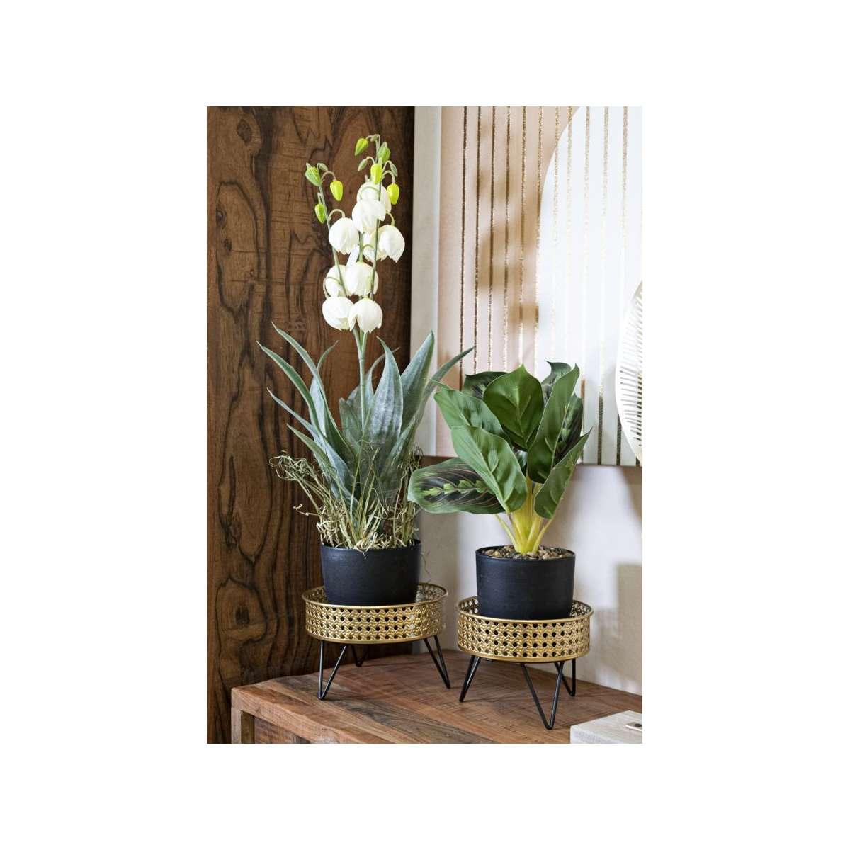 Porta Vasi Bossy Coppia cm.Ø20,5x13-18x13