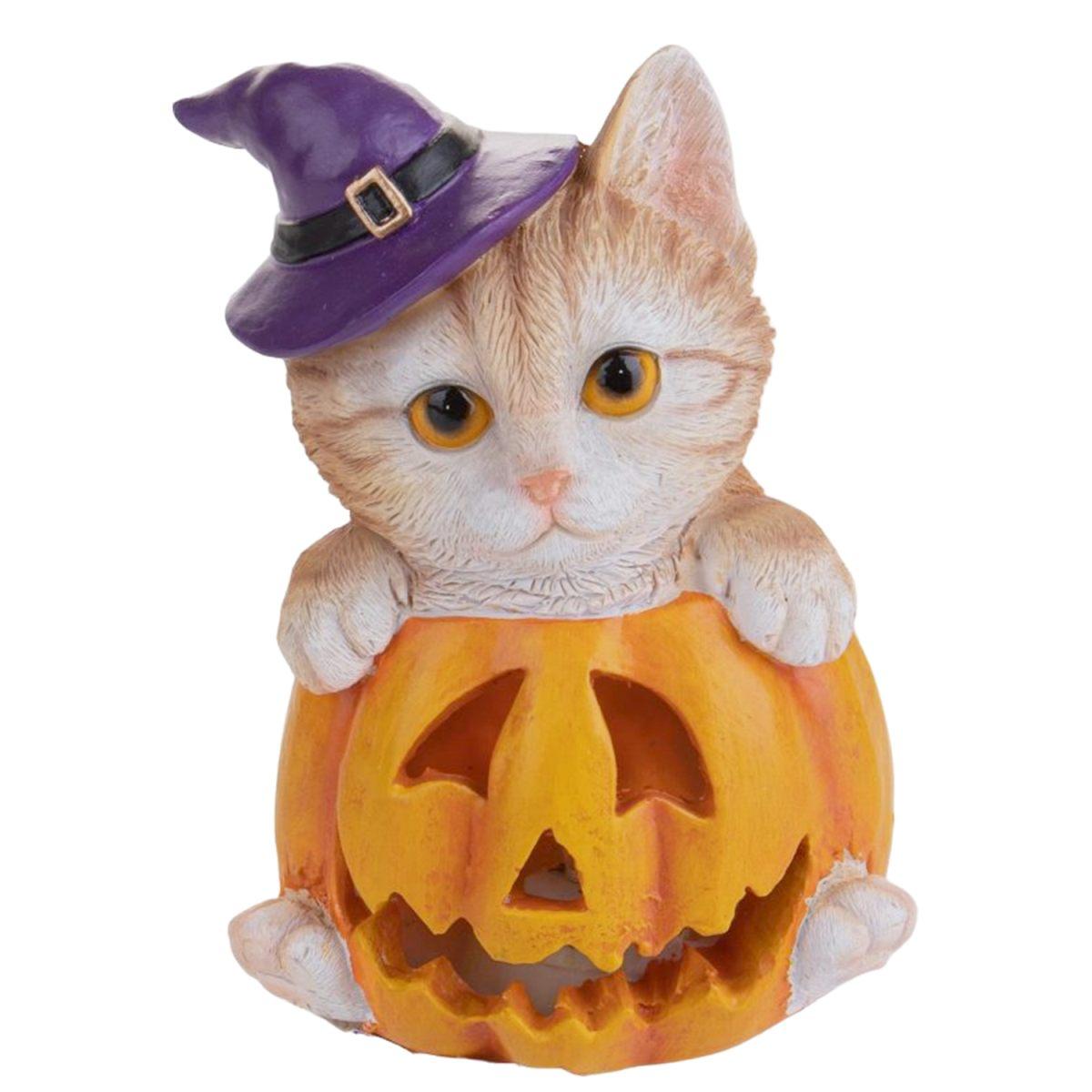 Zucca Resina Con Gatto E Luce Led cm.10x16 |Bianchi Dino