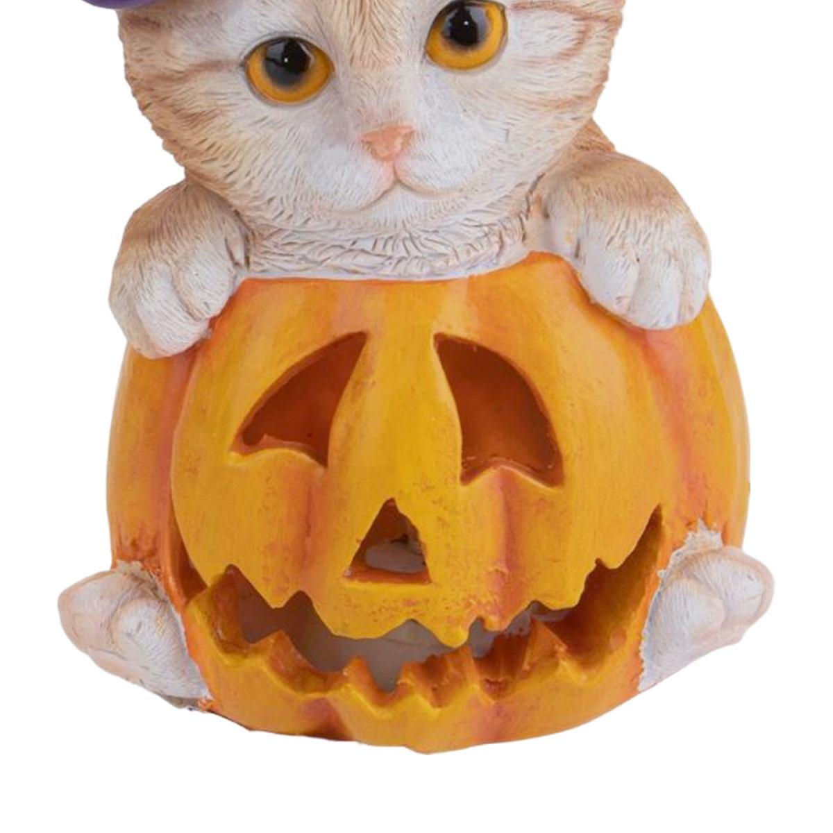 Zucca Resina Con Gatto E Luce Led cm.10x16 |Bianchi Dino