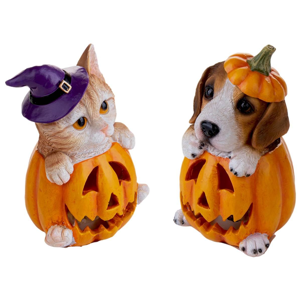 Zucca Resina Con Gatto E Luce Led cm.10x16 |Bianchi Dino