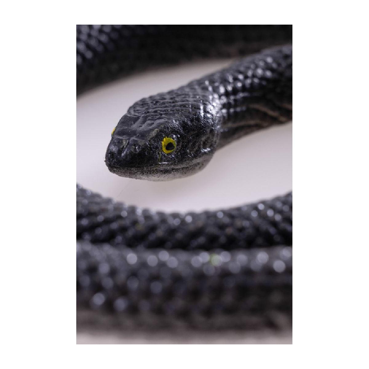 Serpente gomma 70 cm