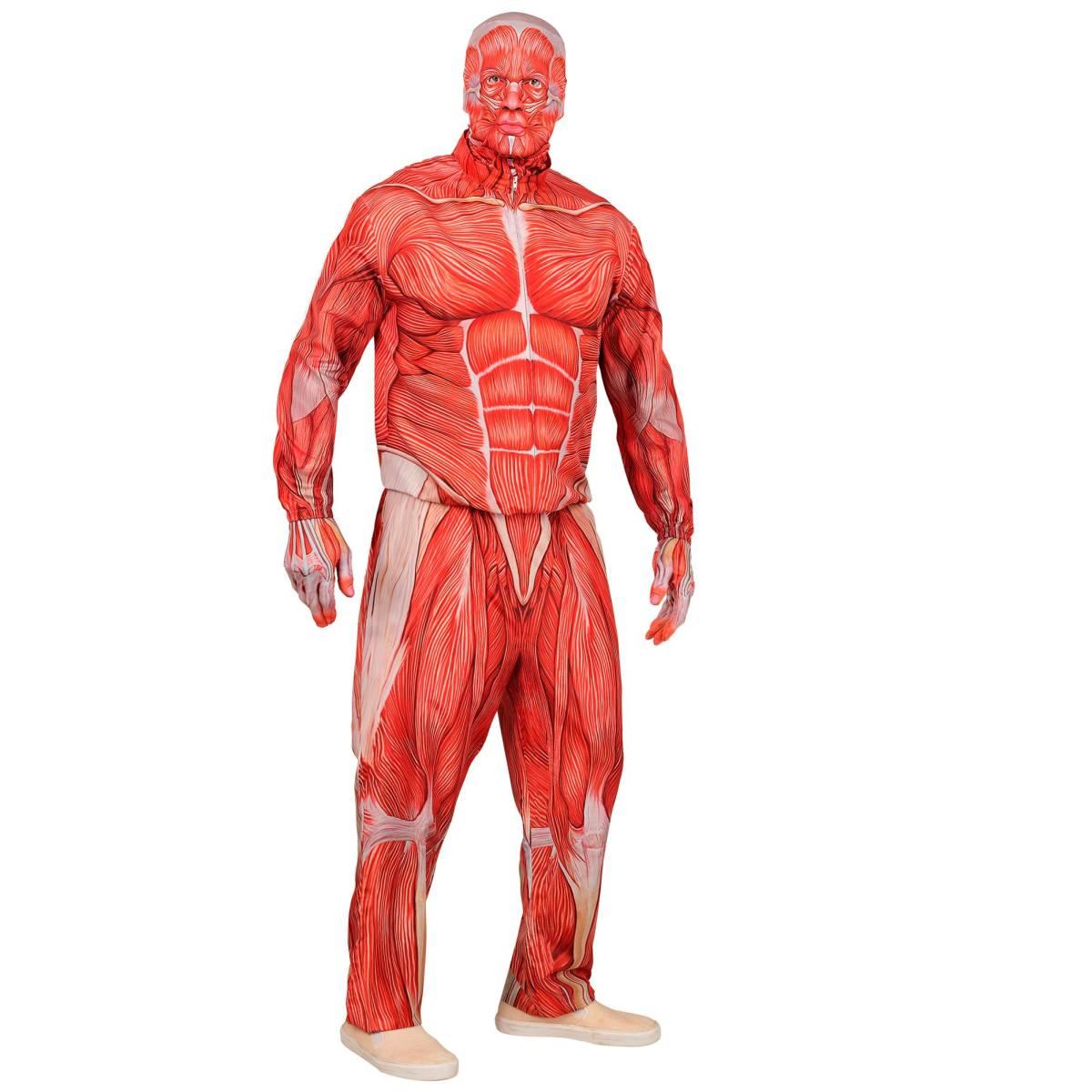 Costume Anatomia Fast |Uomo_D1_02124
