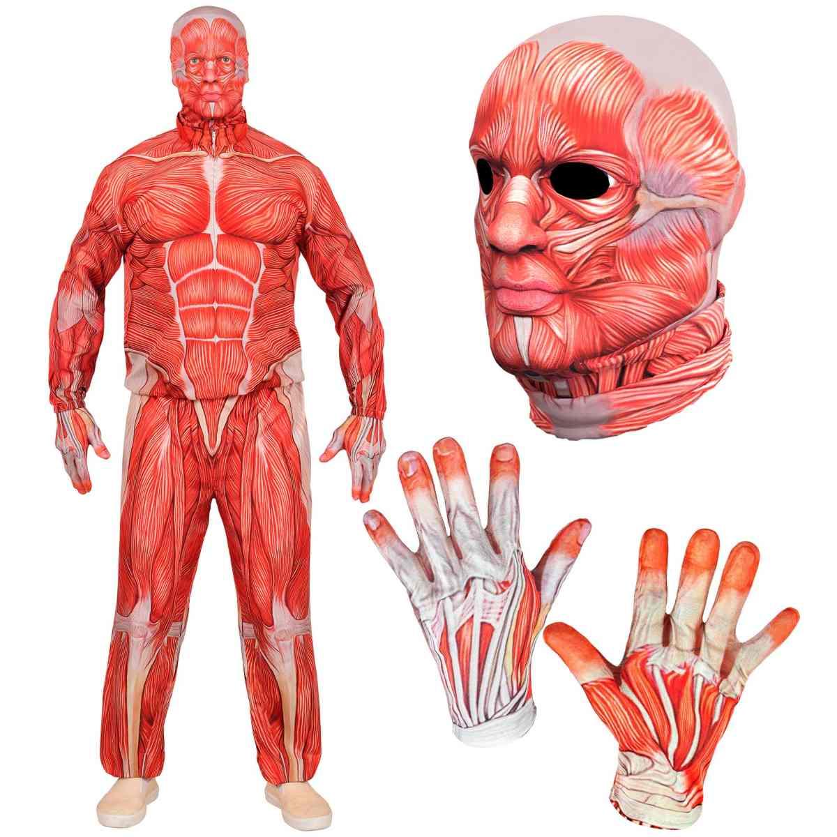 Costume Anatomia Fast |Uomo_D1_02124