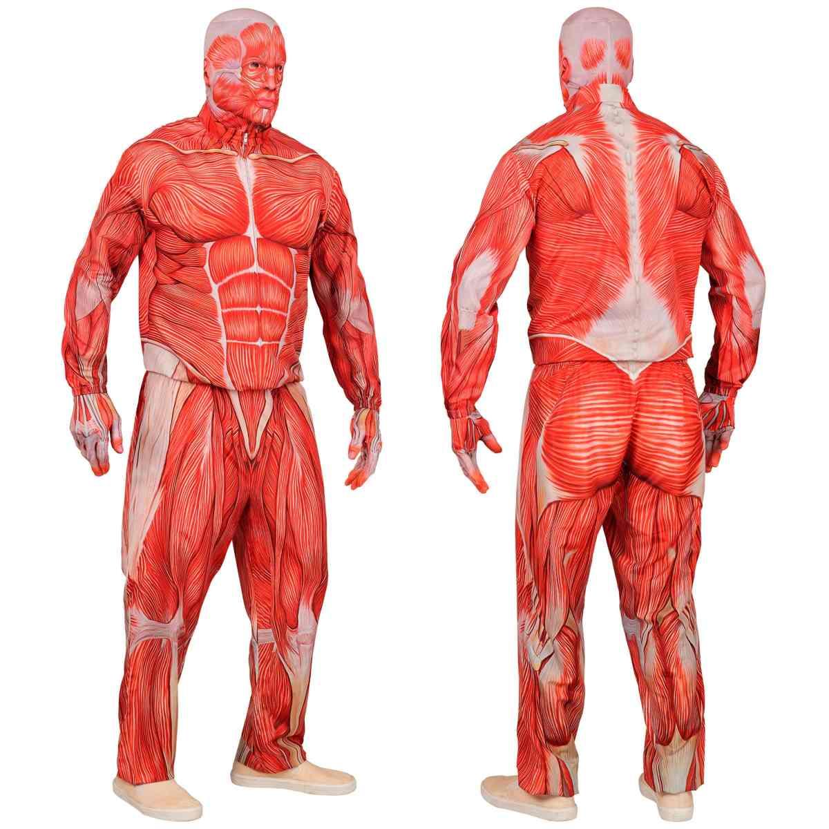 Costume Anatomia Fast |Uomo_D1_02124